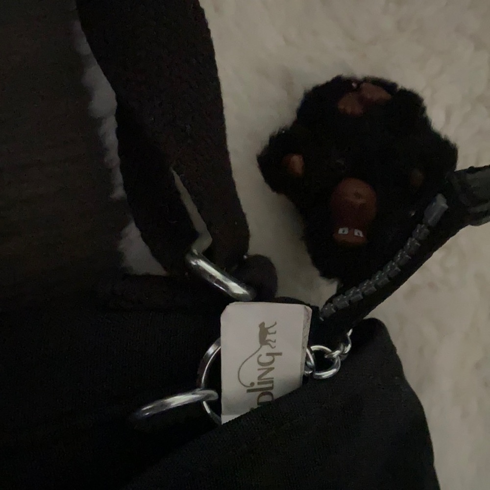 Only used once Kipling bag great condition!